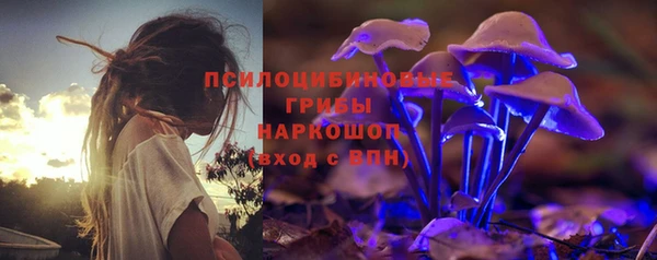 спиды Алзамай