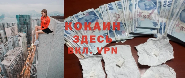 прущие грибы Алексеевка