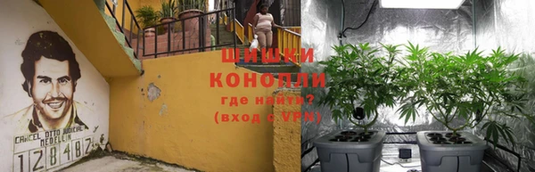 молекула духа Зеленодольск